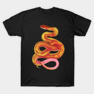 serpent,cobra,reptile,viper,venom,lizard,rattlesnake,king cobra,dragon,hydra,poison,venomous,plumber's snake,pythonidae,pythons,auger,python,squamata,serpentine,worm,big,ophidian,rattlesnakes,medusa,snakebite T-Shirt